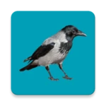 Logo of Progressive decoy of crows android Application 