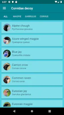 Progressive decoy of crows android App screenshot 4